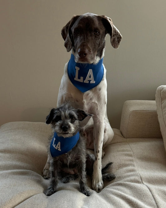 LA Dog Bandana