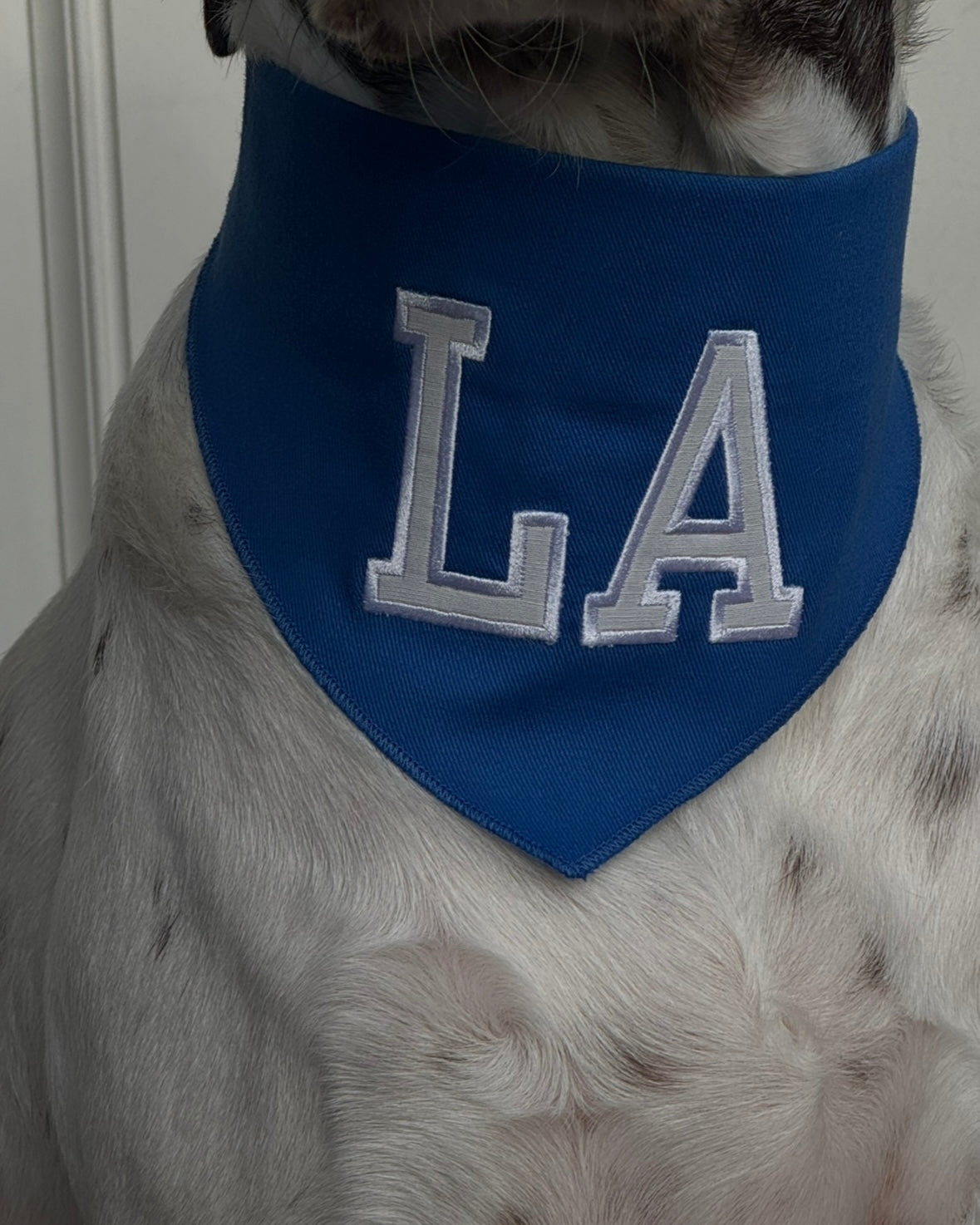 LA Dog Bandana