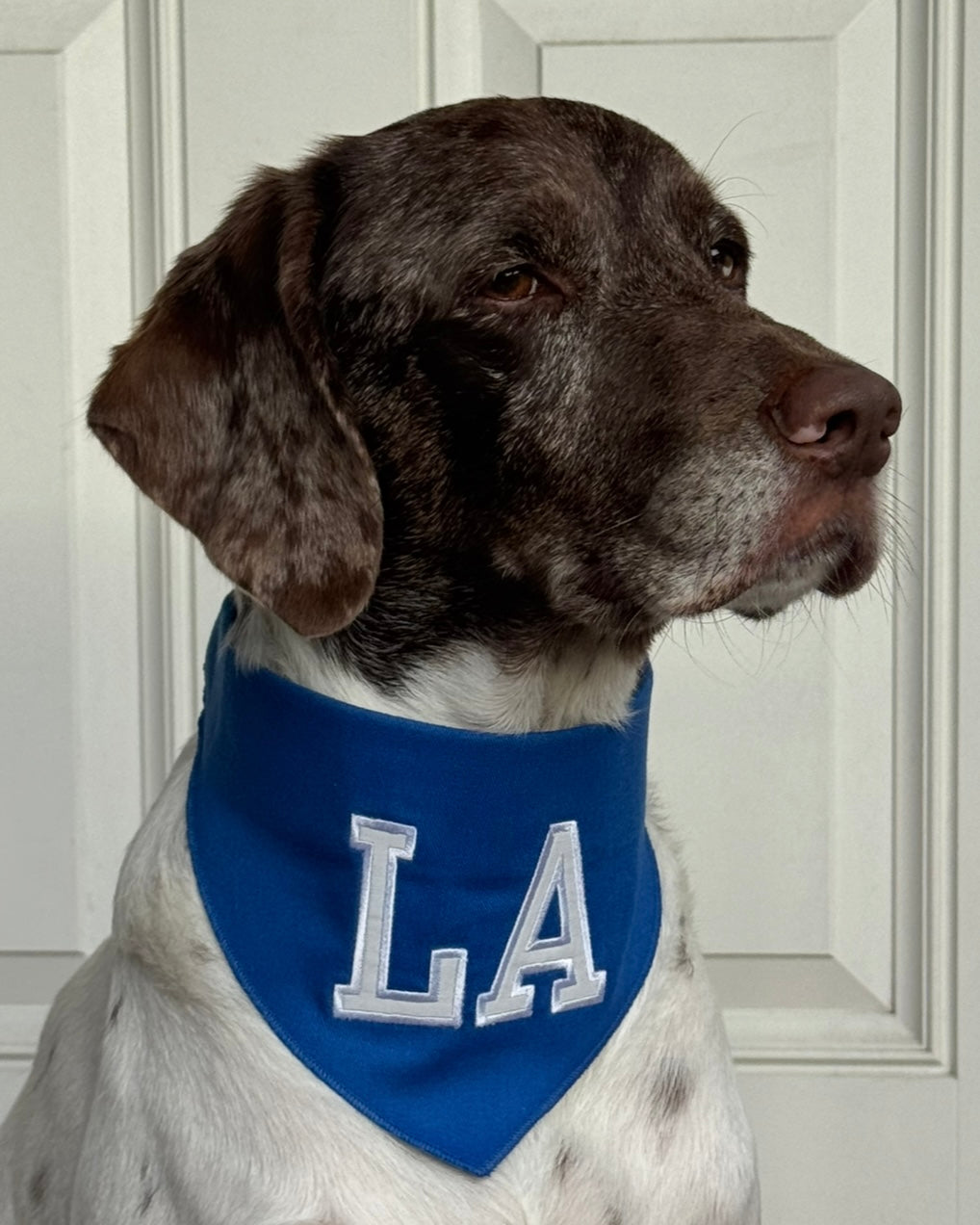 LA Dog Bandana
