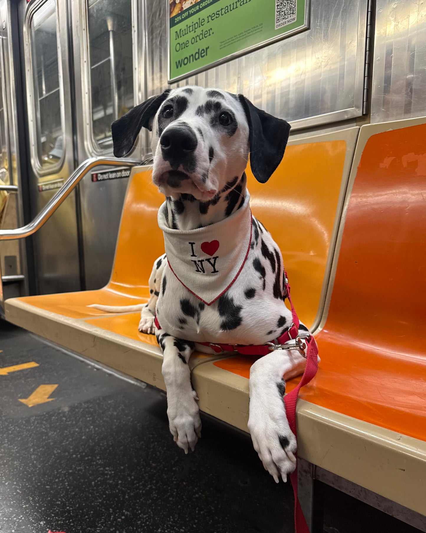 I ❤️ NY Bandana