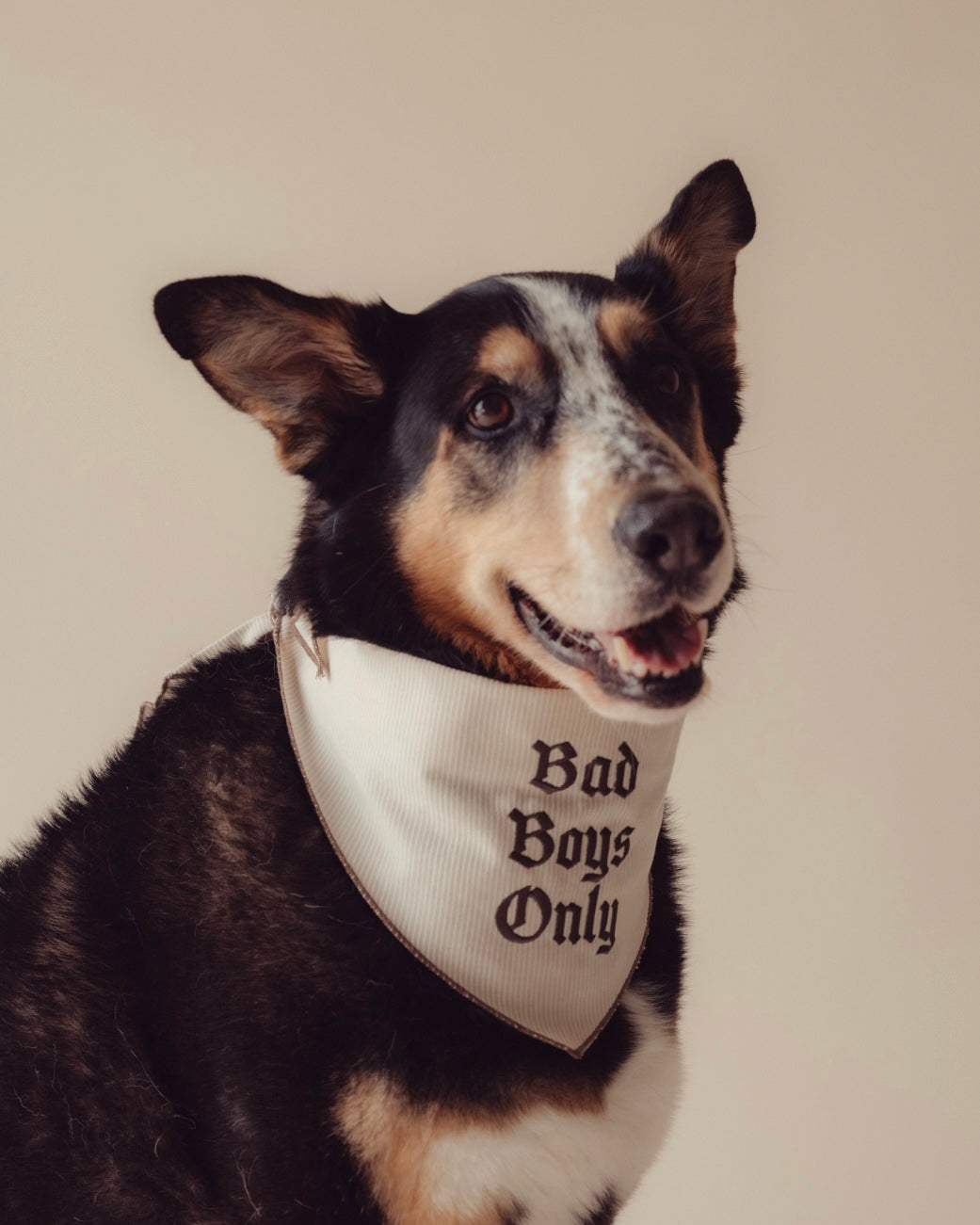 The Indie Bandana