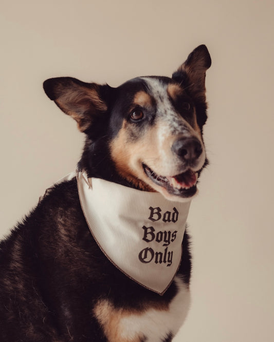 The Indie Bandana