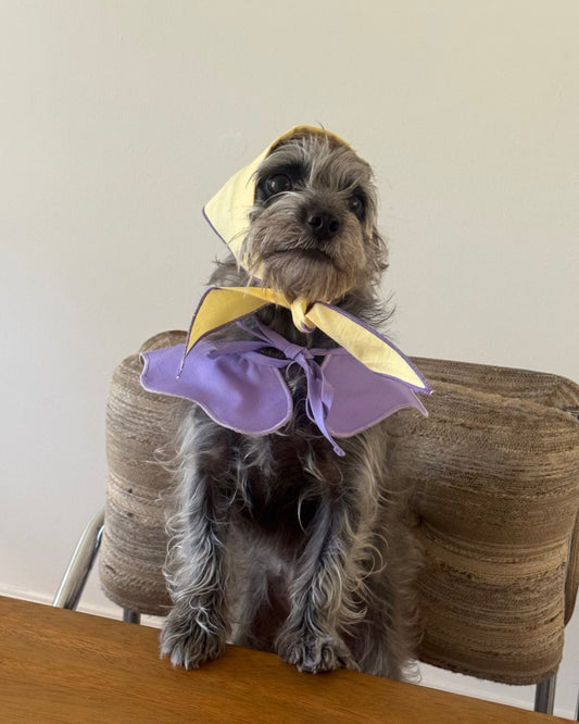 The Reversible Wanda Collar- Petals