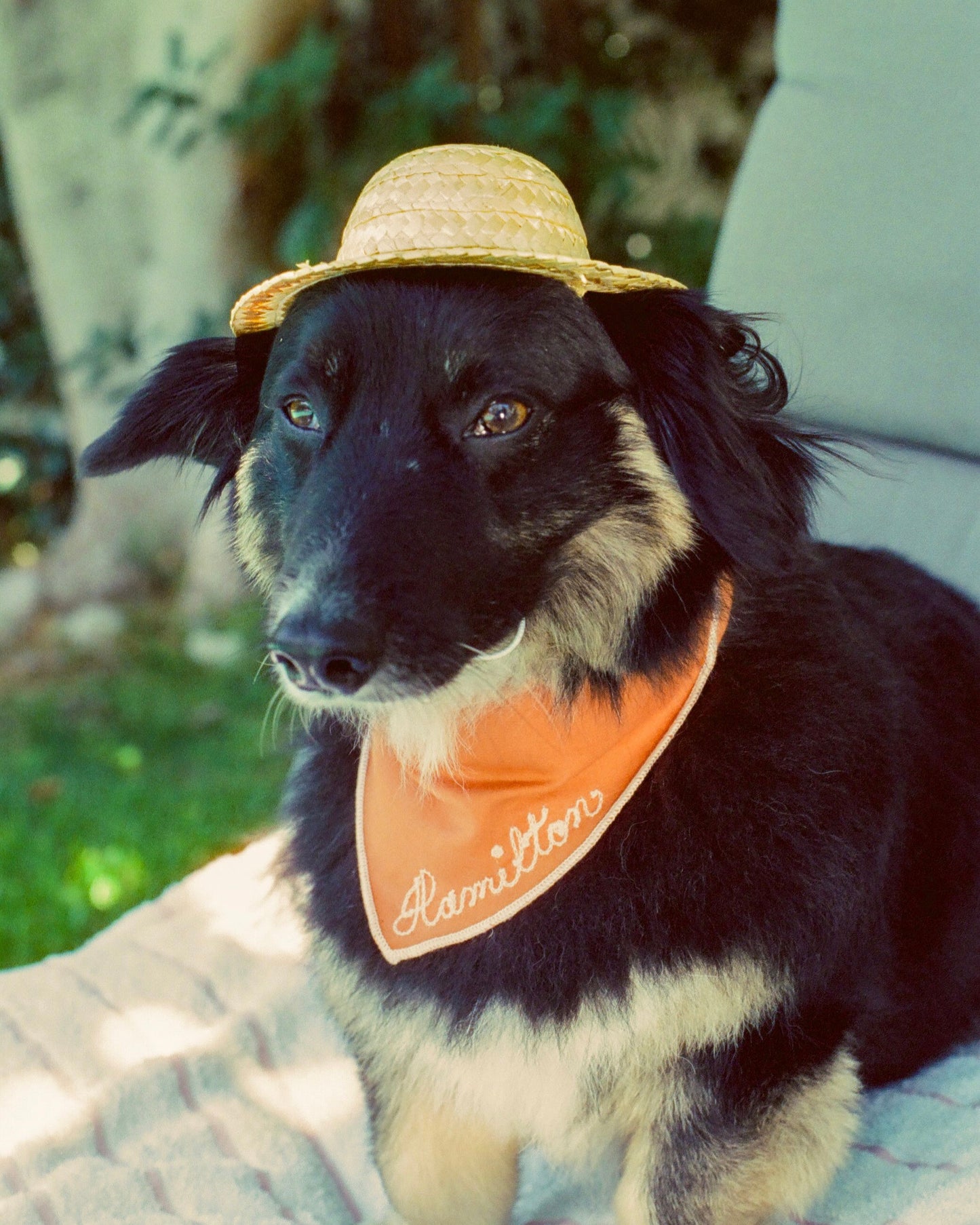 The Fren Bandana- Sunset