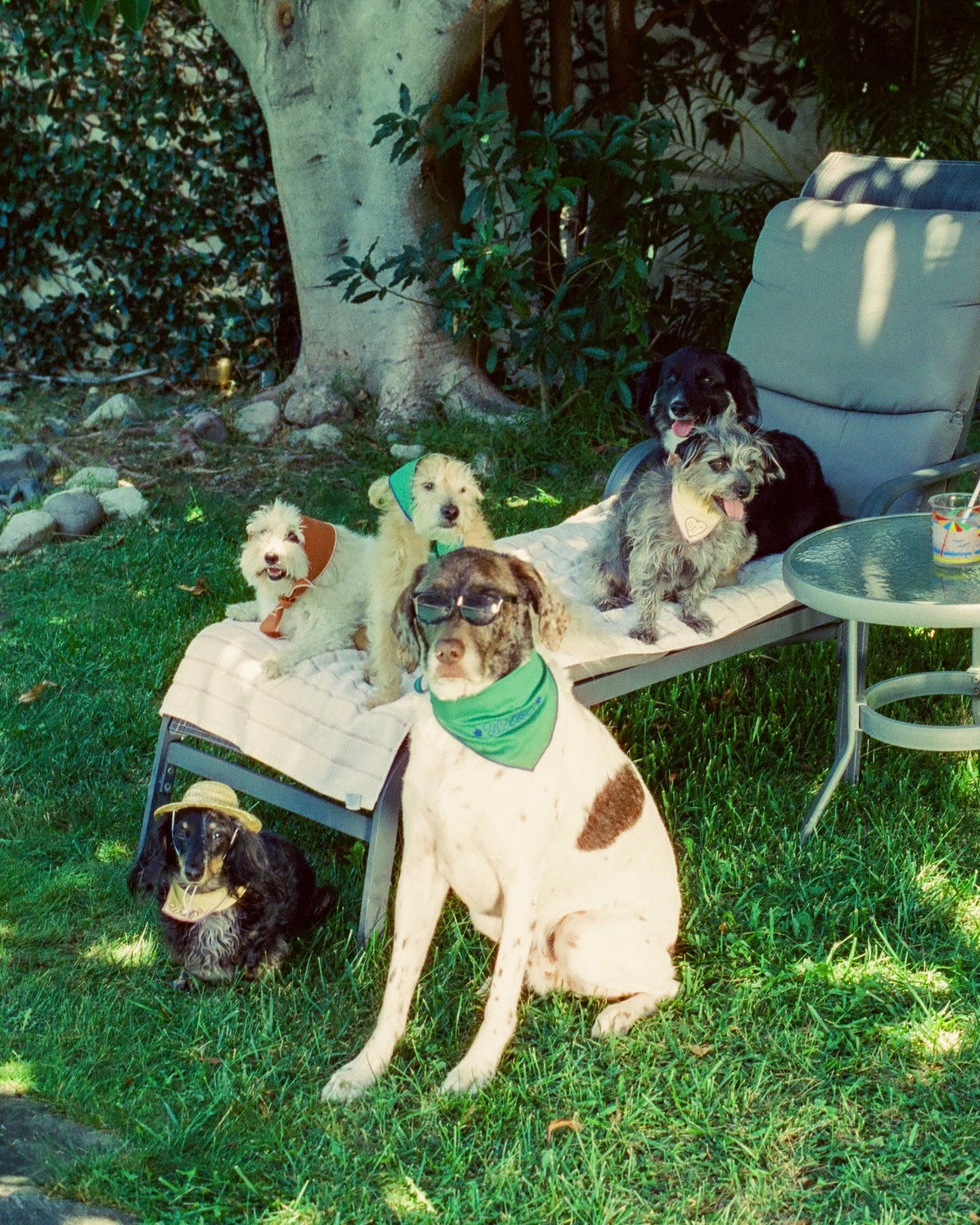 The Fren Bandana- Earth
