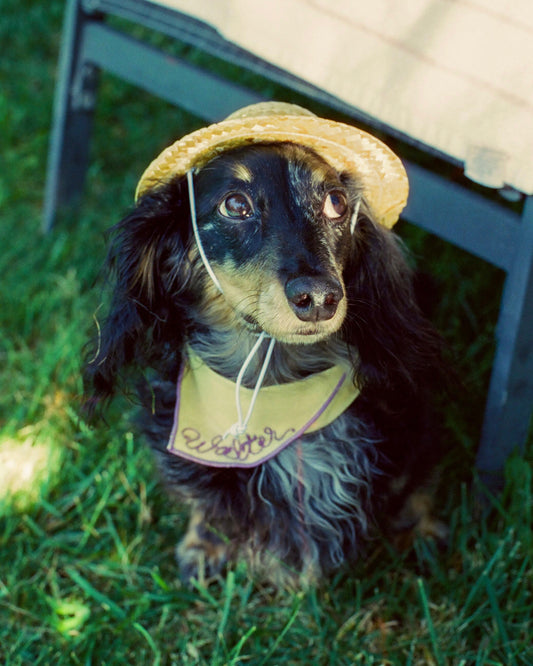 The Fren Bandana- Petals