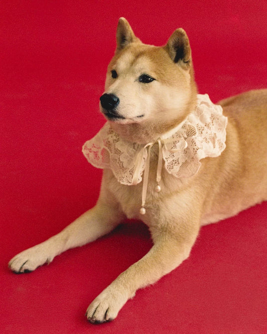 The Wanda Collar- Lacey