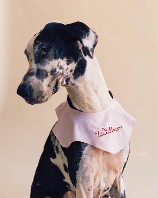 The Wanda Collar- Baby