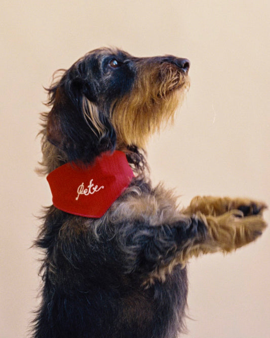 The Fren Bandana x Sidecar